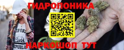 спиды Обь
